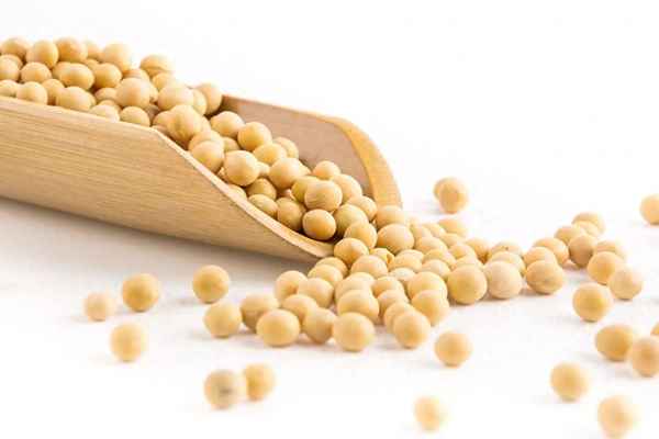 白醋泡黃豆的功效與作用及食用方法_白米醋泡黃豆