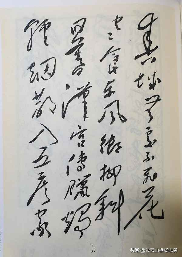 春城无处不飞花出自哪首诗、春城无处不飞花下一句怎么读
