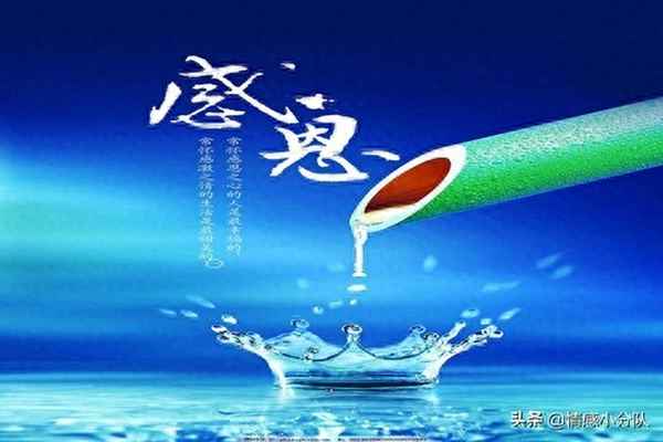 感恩父母煽情催淚演講—感恩父母煽情催淚演講視頻