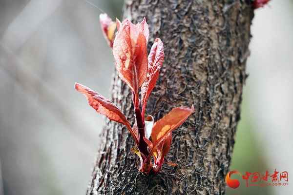 兰州财经大学地理位置(兰州财经大学地理位置图)