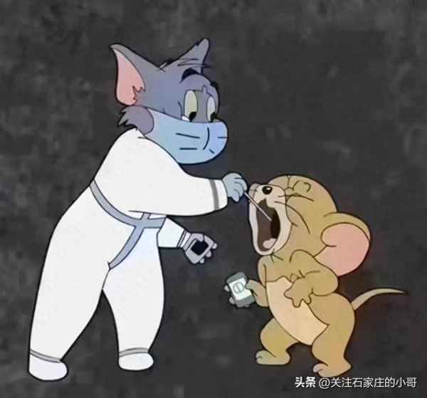 石家庄楼盘分布图,石家庄楼盘分布图高清