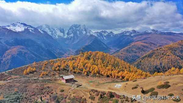 男性炎症用什么药最好_男性炎症用什么药最好使