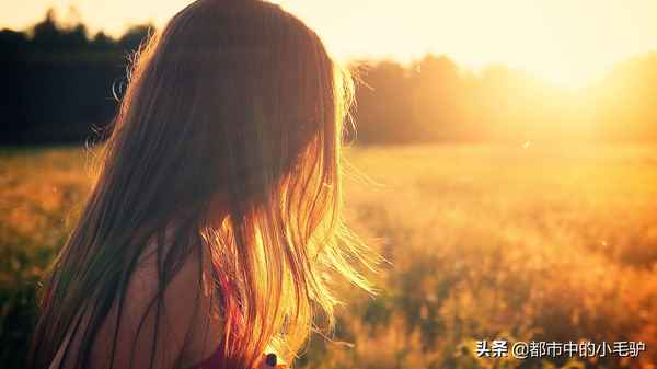 追風箏的人讀后感1000字(《平凡的世界》讀后感)