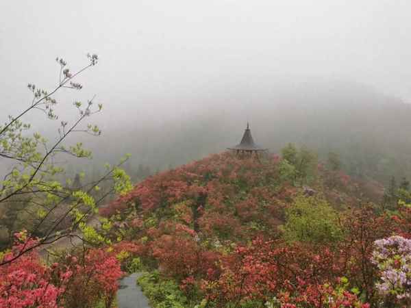 磐安高二花园别墅价格—磐安高二旅游度假村