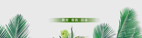 醉翁亭記課件ppt_醉翁亭記重點題及答案