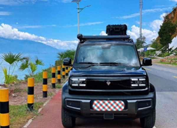 最便宜的油氣兩用轎車;燒氣的車一般壽命幾年
