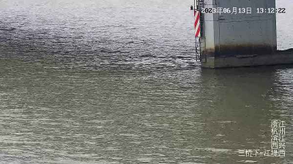 杭州跳桥救人小哥近况—杭州跳桥救人小哥近况怎么样