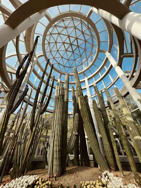 廈門植物園怎么樣、廈門植物園多少錢門票