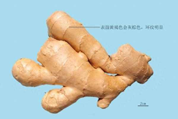四種人不宜吃咖喱—咖喱對人體的危害