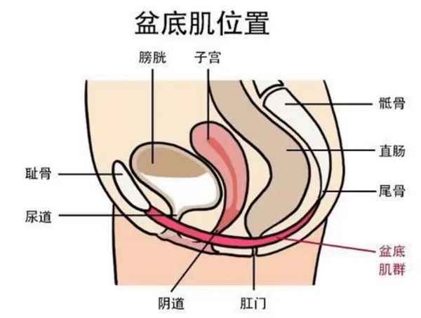 健康底-健康底色為幸福成色加分專(zhuān)題