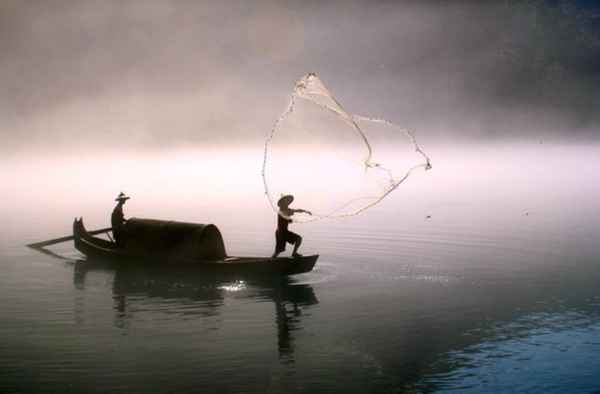 鱼文化(鱼文化博物馆)