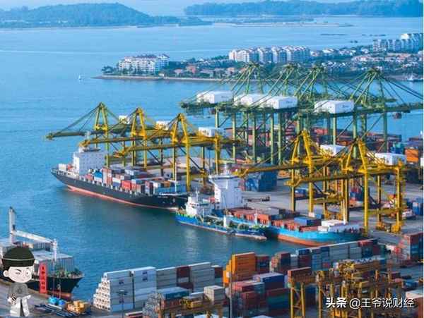 胡椒财经;胡椒行情最新走势图