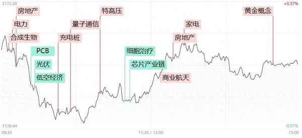 焦点新闻文章-焦点新闻文章在线阅读