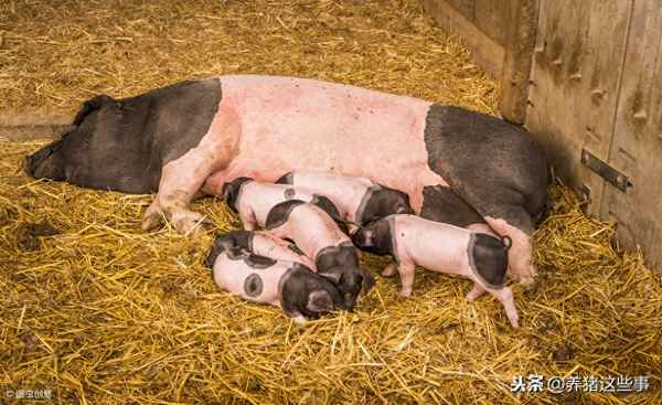 云南白药粉里面的棉花是干嘛用的-伤口擦碘伏后能上云南白药吗