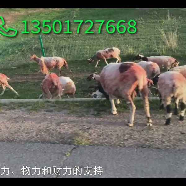 公司年會活動方案策劃方案,公司年會活動策劃文案