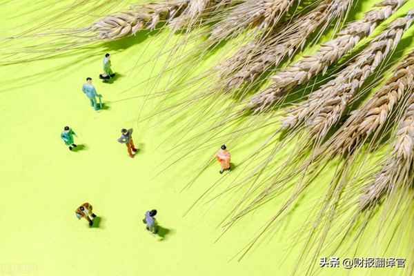 如果粮食危机什么股票最火;粮食危机股票的推荐