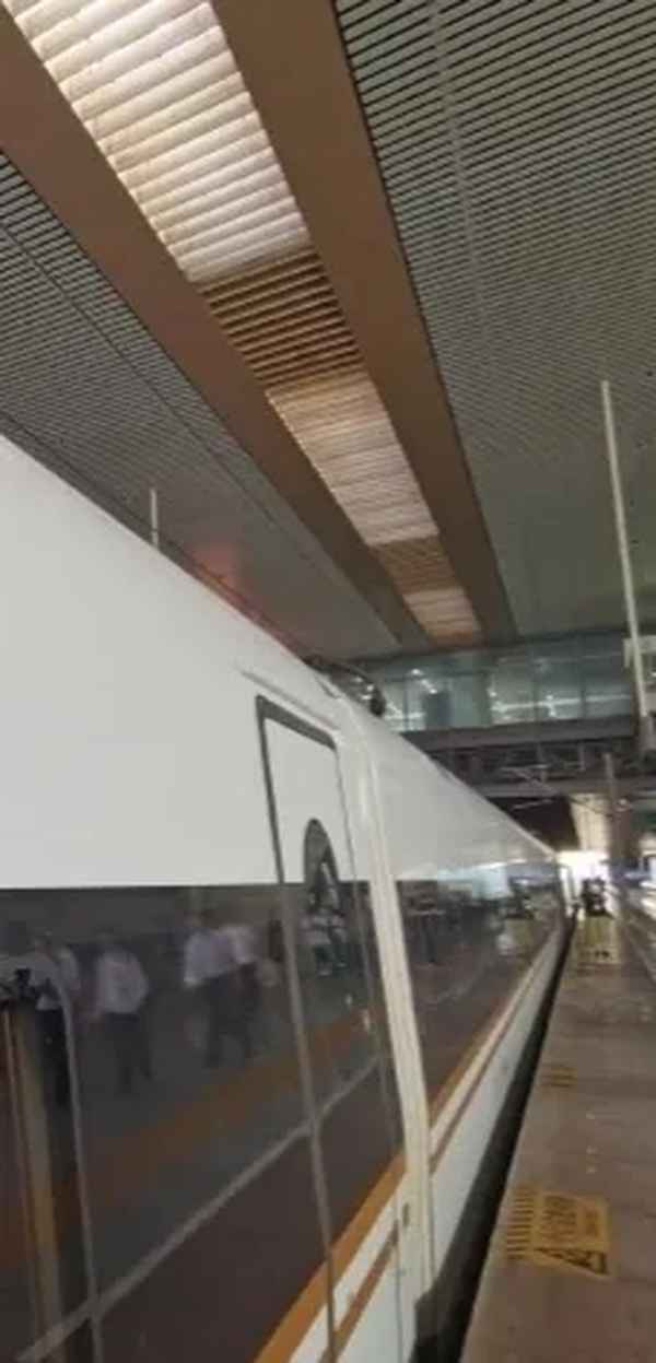 松江快線地鐵線路圖—松江快速干線