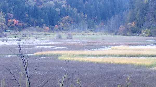 九寨沟游记600字-九寨沟游记600字作文初二