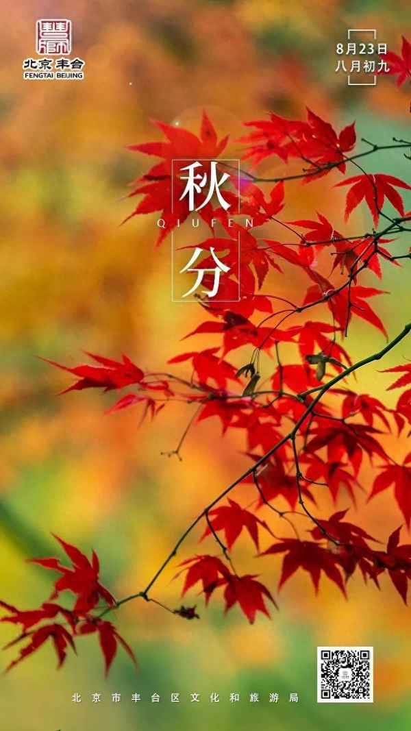 秋风起兮白云木黄落兮—秋风起兮白云木黄落兮雁南归的作者