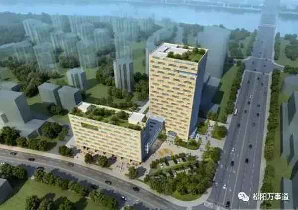 松阳房产网(平阳房产网)