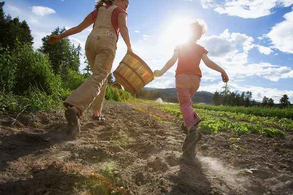 惠州楼盘房产网、惠州楼盘