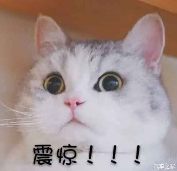 xc90質量怎么樣_沃爾沃哪款車口碑最好
