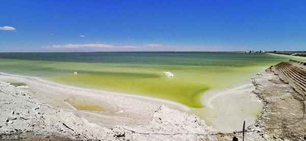湖北省盐业集团级别_湖北省盐业公司什么级别
