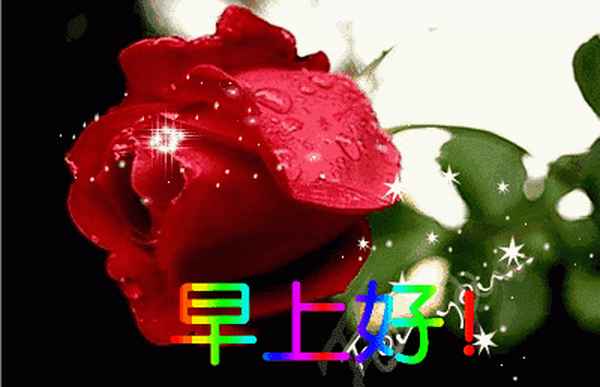 愿你健康快樂(lè )_愿你健康快樂(lè )平安喜樂(lè )的句子