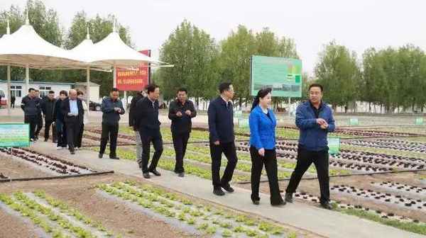 寧夏干部教育網絡培訓學院,搜寧夏干部網絡教育學院