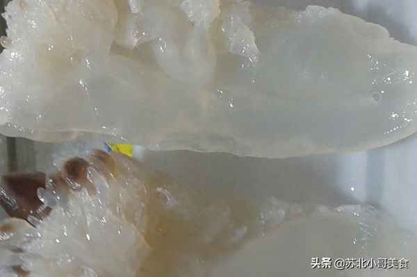 海蜇絲的正確涼拌法視頻;海蜇絲的辦法海蜇絲涼拌怎么做