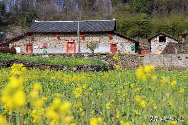 一般农田可以搭建临时建筑吗—农田可以申请临时建筑吗