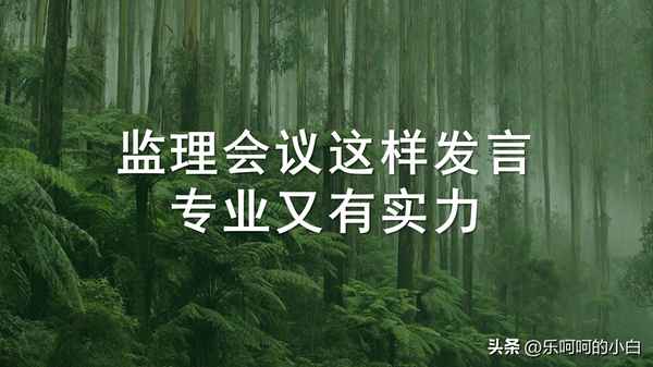 監(jiān)理例會工作總結(jié)(監(jiān)理例會總結(jié)范文)