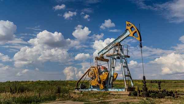 国华投资公司经营范围,国华公司是做什么的