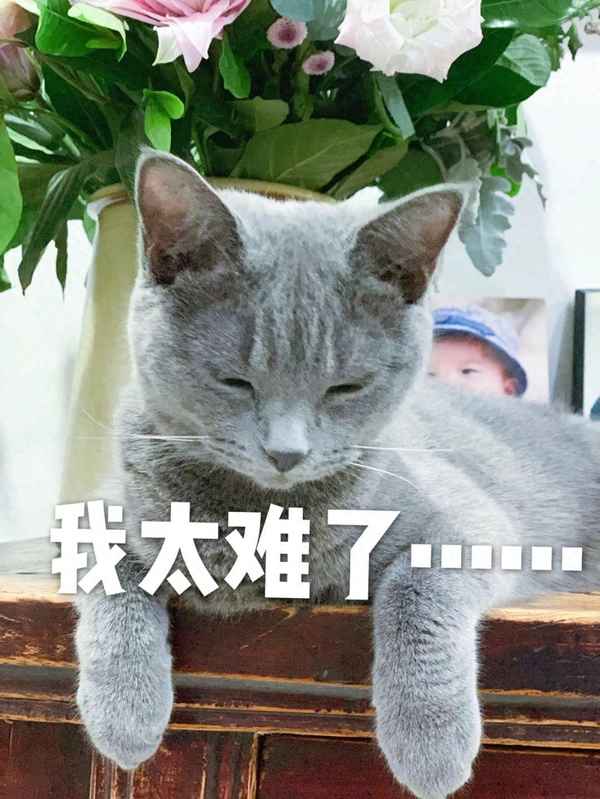 單位分房沒有房產(chǎn)證、單位分房沒有房產(chǎn)證怎么辦