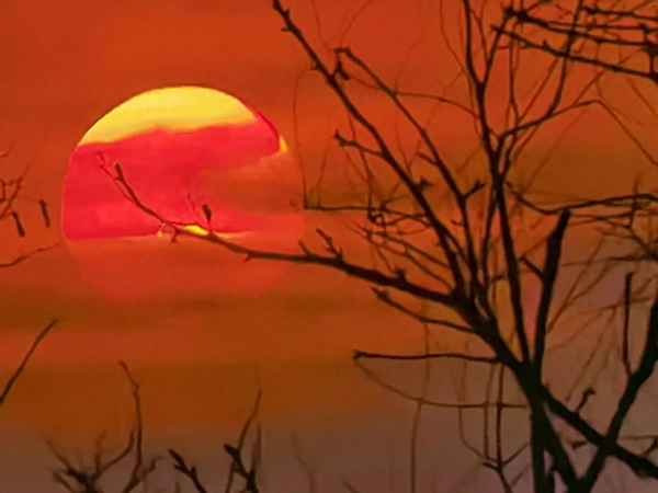 醉梦压星河的原句(清梦压星河前一句)