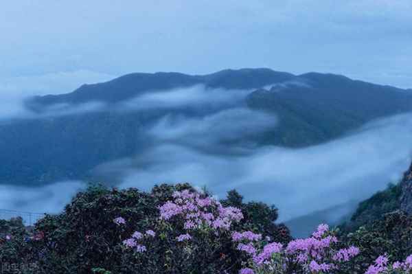 三万里河东入海什么意思、三万里河东入海是什么