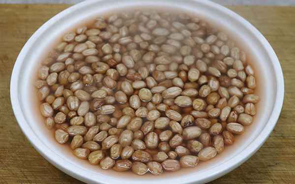 醋泡花生是生泡還是熟泡;花生米用陳醋泡7天治療什么病
