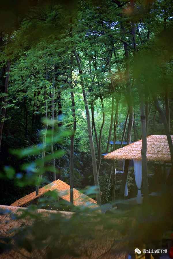 青城后山住宿價格—青城后山住宿價格一覽表