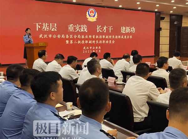 派出所副所長掛職感悟;派出所掛職副所長總結
