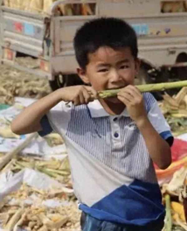 玉米什么時候傳入中國;玉米什么時候傳入中國？