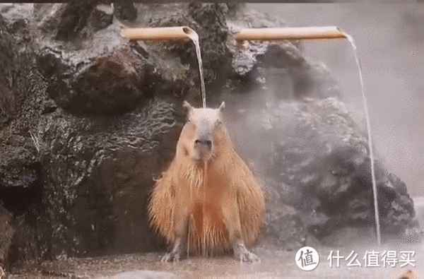 燃气热水器水量设定(燃气热水器水量设定是什么意思)