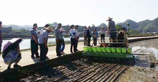 水稻高产高效栽培新技术,水稻高产优质高效栽培技术方案