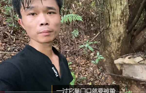 农村简易蜂箱制作视频—农村自制简单蜂箱视频