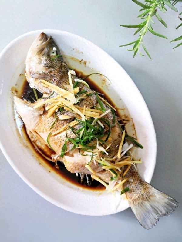 清蒸海鱸魚的做法、清蒸海鱸魚的做法視頻