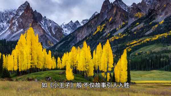 有教育意義的書,有教育意義的書籍老師看的