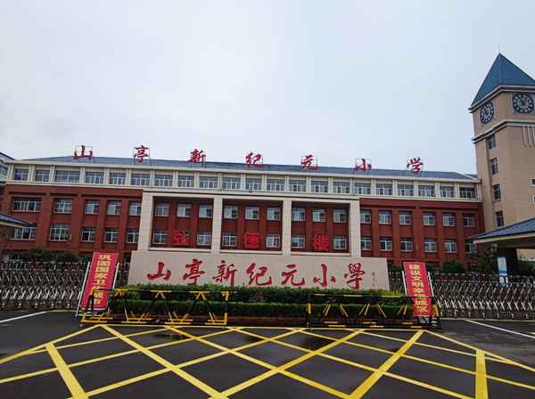 我是一只螞蟻變形記作文,螞蟻的成長經歷