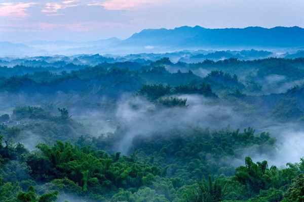 槲叶落山路的意思,槲叶落山路图片