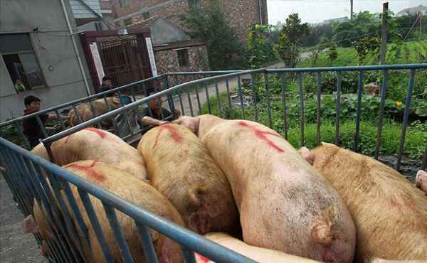 浙江6+1走势图(浙江6+1综合版走势图)