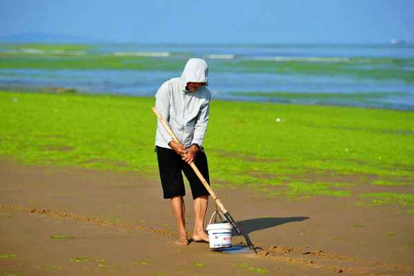 怎样抓螃蟹又快又安全,抓螃蟹的妙招