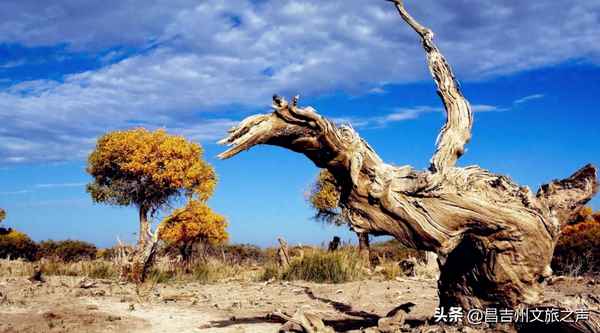 十一月份最佳旅游地點;十一月份旅游推薦